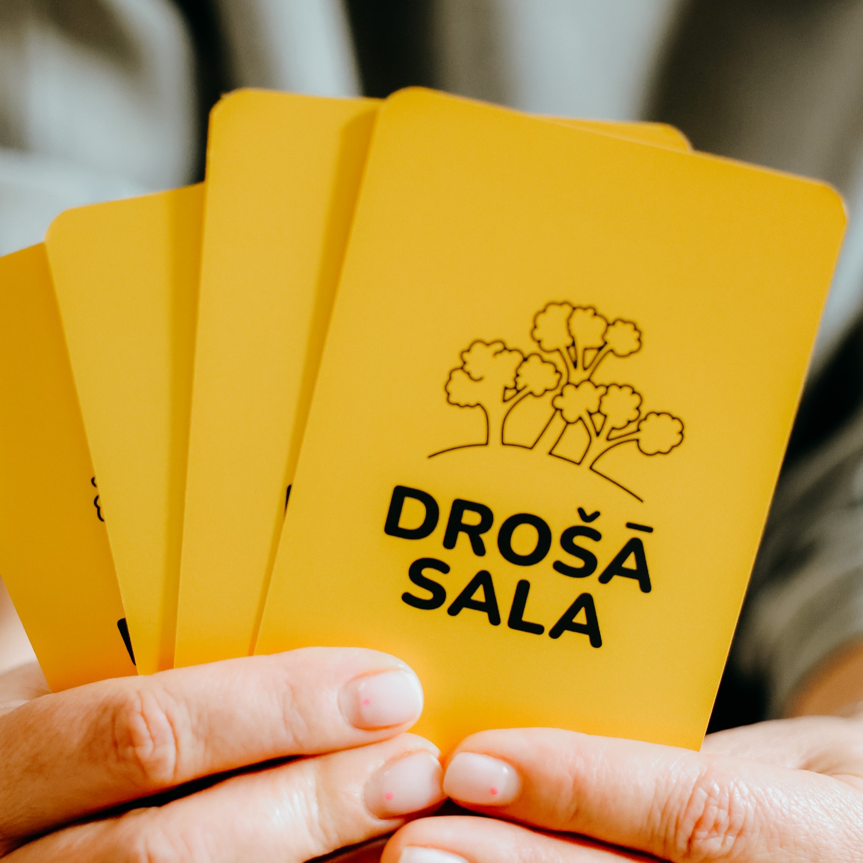 Galda spēle. Drošā sala - Image 13